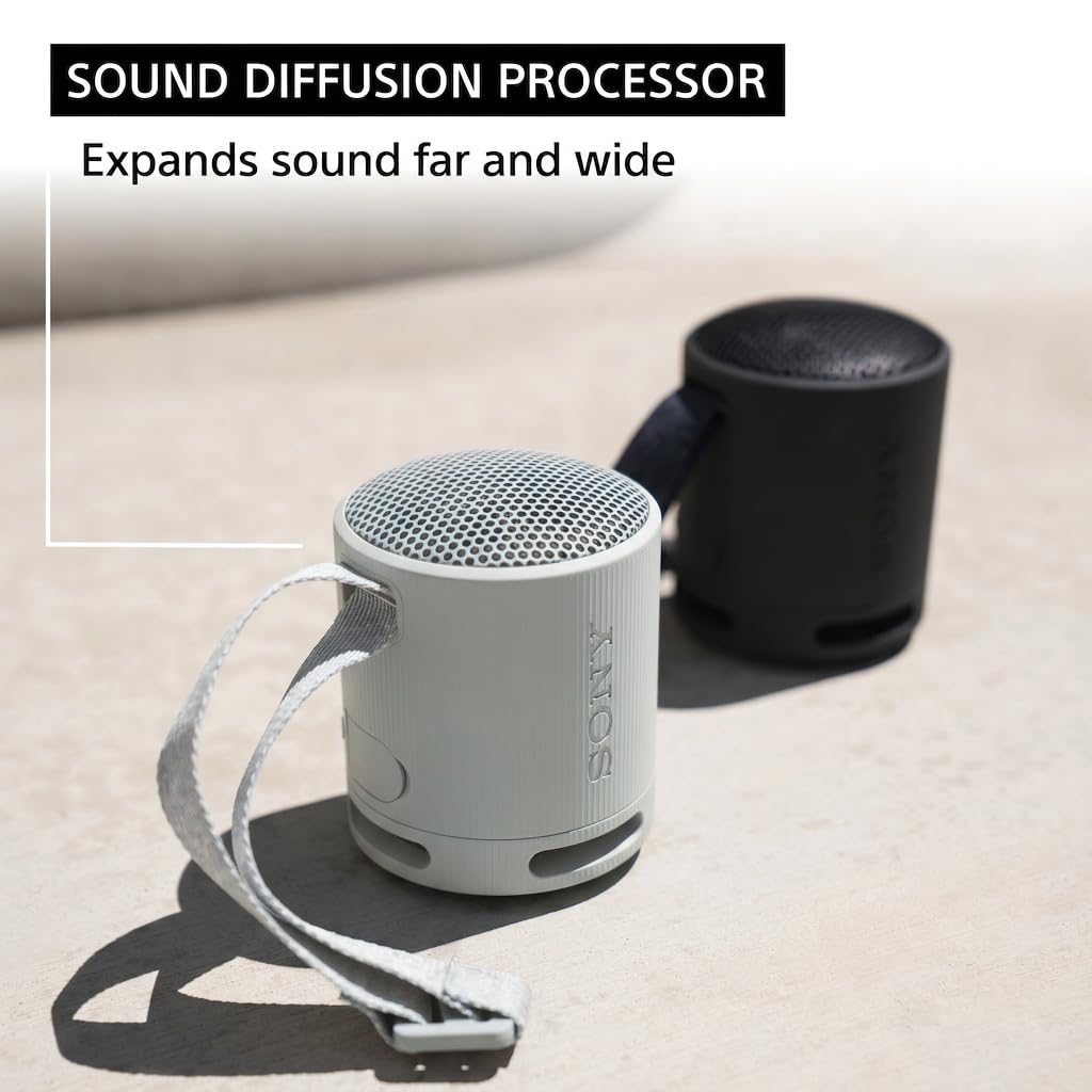 Sony SRS-XB100 Portable Bluetooth Speaker – Black