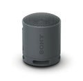 Sony SRS-XB100 Portable Bluetooth Speaker – Black