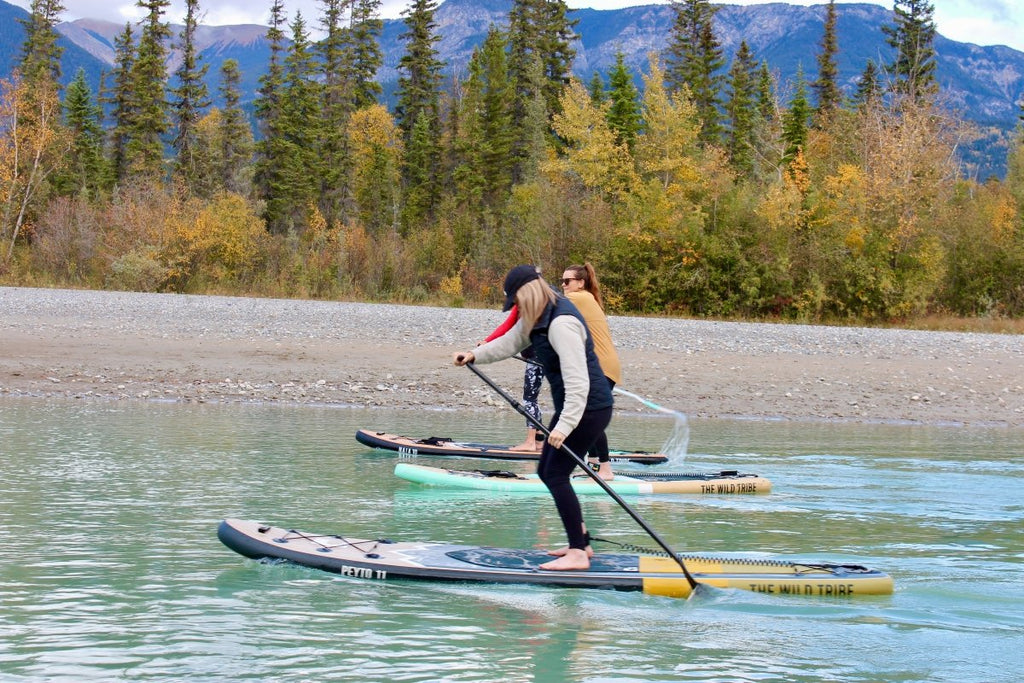 Peyto 11'